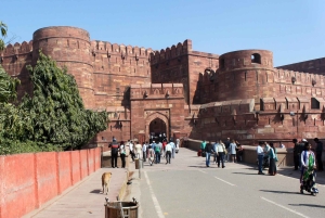 De Delhi : Visite de la ville d'Agra (nuit) - Points forts