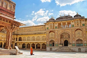 Ab Delhi: Private 11-tägige Séjour De Grand Luxe Indien Tour