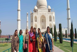 Da Delhi: Tour privato di 3 giorni del Triangolo d'Oro tutto incluso