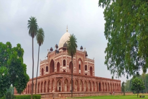 Da Delhi: Tour privato di 3 giorni del Triangolo d'Oro tutto incluso