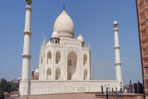 Da Delhi: Tour privato di 3 giorni del Triangolo d'Oro tutto incluso