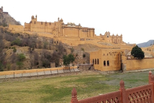 Da Delhi: Tour privato di 3 giorni del Triangolo d'Oro tutto incluso