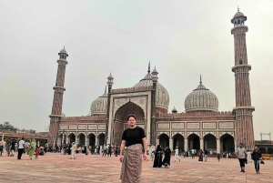 Fra Delhi: Privat 3-dages tur til Den gyldne trekant med hoteller