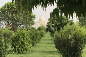 Au départ de Delhi : visite privée de 4 jours du Triangle d'Or