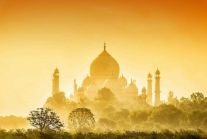Fra Delhi: Privat 4-dages tur i Den Gyldne Trekant