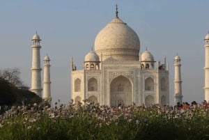 Delhistä: Yksityinen 5 päivän Kultainen kolmio Intian kiertomatka