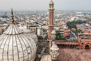 Delhistä: Yksityinen 5 päivän Kultainen kolmio Intian kiertomatka