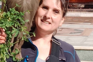 Z Delhi: 5-dniowa prywatna wycieczka po Złotym Trójkącie Trójkąt miłosny