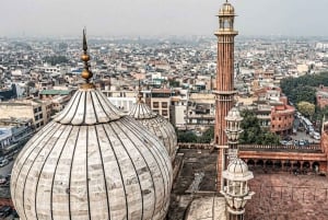 Desde Delhi: Tour privado de 5 días por el Triángulo de Oro con hoteles