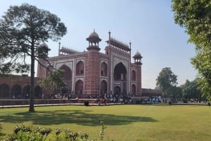 Desde Delhi: Tour privado de 5 días por el Triángulo de Oro con hoteles