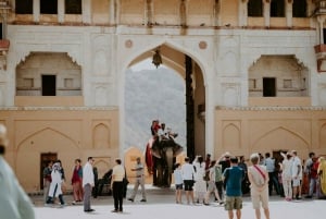 Au départ de Delhi : visite privée de 6 jours du Triangle d'Or avec hébergement