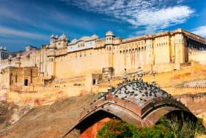 Desde Delhi: Viaje privado de 8 días a Rajastán con hoteles