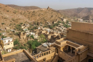 From Delhi: Jaipur full Day Sightseeing Guided Tour by Car