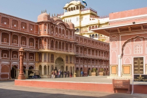 Da Delhi: Tour privato guidato di Jaipur e del Forte di Amber in auto
