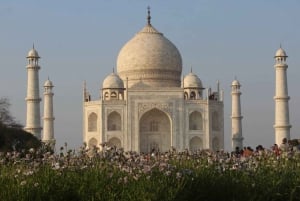 From Delhi: Private Taj Mahal Day Tour By Car and Driver