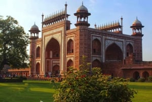 Da Delhi: Tour privato di un giorno del Taj Mahal con auto e autista