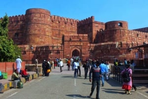 Da Delhi: Tour privato di un giorno del Taj Mahal con auto e autista