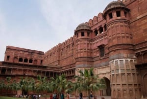 Von Delhi aus: Private Taj Mahal Tagestour mit Auto und Fahrer