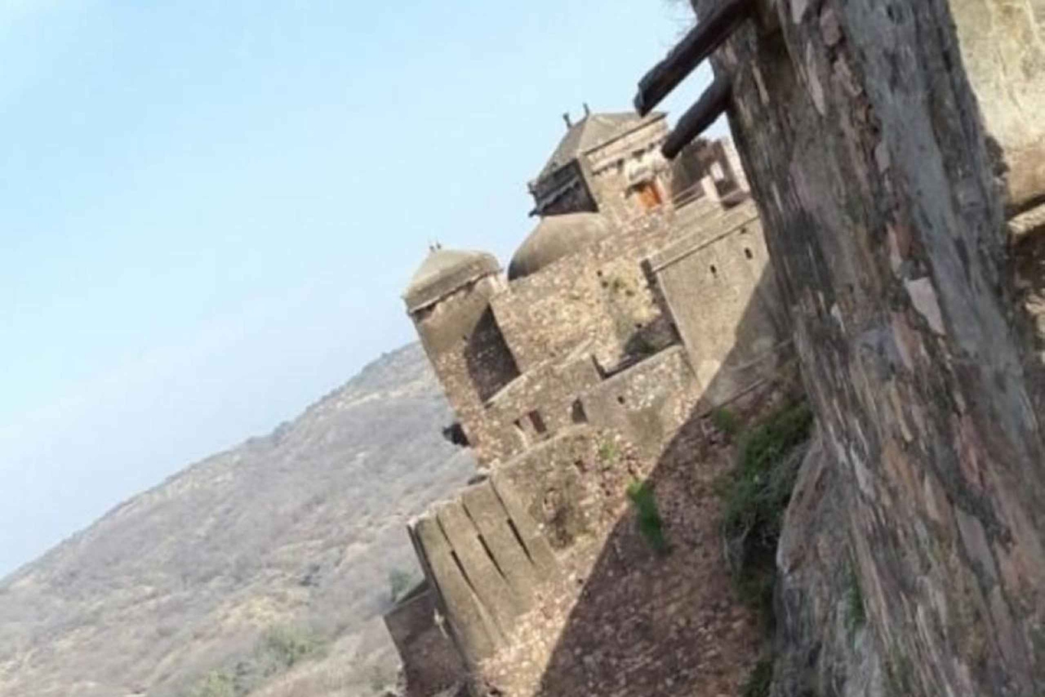 デリー発：ランサボレ野生動物サファリツアー（送迎付き）