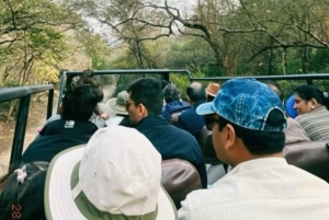 デリー発：ランサボレ野生動物サファリツアー（送迎付き）