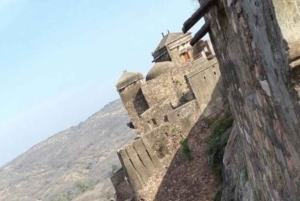 デリー発：ランサボレ野生動物サファリツアー（送迎付き）