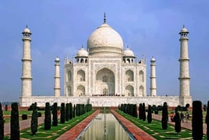 De Deli: Excursão ao Taj Mahal ao nascer do sol com o Elephant SOS Center