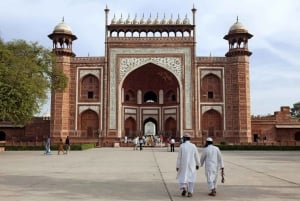 De Deli: Excursão ao Taj Mahal ao nascer do sol com o Elephant SOS Center