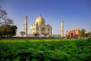De Deli: Excursão ao Taj Mahal ao nascer do sol com o Elephant SOS Center