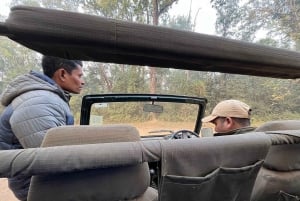 From Jaipur: 2-Day Ranthambore Tiger Safari with tranfers