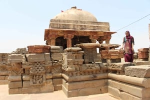 From Jaipur: Abhaneri Stepwell Private Tour
