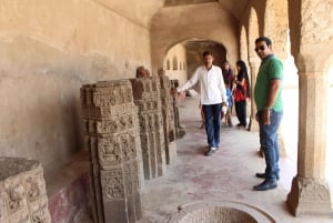 From Jaipur: Abhaneri Stepwell Private Tour