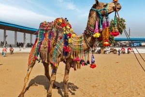 From Jaipur : Ajmer Pushkar Private Tour by Cab with Guide