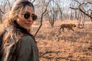 Fra Jaipur: All-inclusive dagsomvisning med tigersafari i Ranthambore