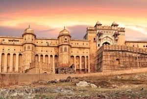 Vanuit Jaipur: Hele dag Jaipur tour met gids en taxi