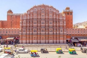 From Jaipur: Half-Day City Tour with Guide