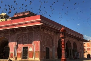 Von Jaipur aus: Lokale Jaipur Sightseeingtour mit dem Auto