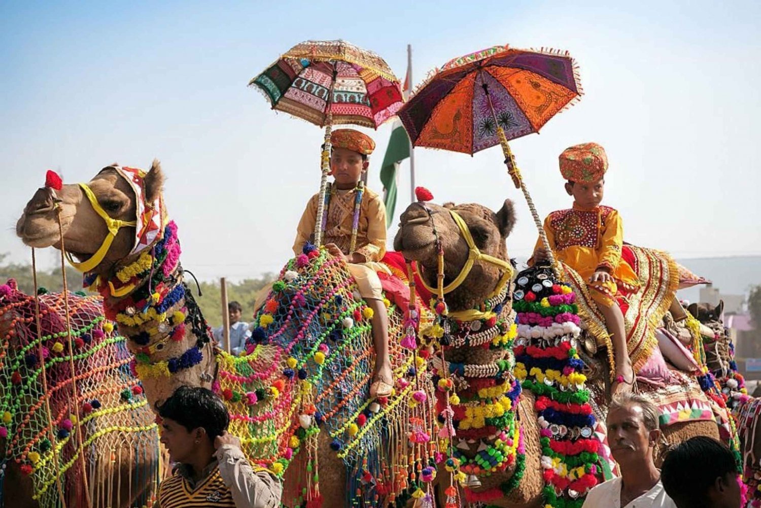 De Jaipur: Viagem de 1 dia de Jaipur a Pushkar