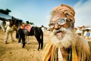 From Jaipur: One-Day Trip From Jaipur to Pushkar