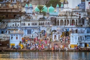 From Jaipur: One-Day Trip From Jaipur to Pushkar
