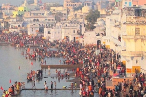 Delhi: Taj Mahal & Agra Fort with Elephant Wildlife SOS Tour