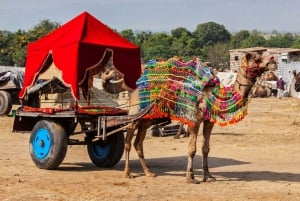 From Jaipur : Private Ajmer Pushkar Tour by Cab