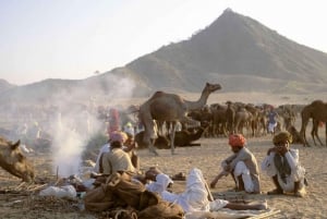 Depuis Jaipur : Visite privée d'Ajmer Pushkar en taxi