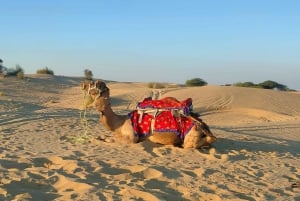 Depuis Jaipur : Visite privée d'Ajmer Pushkar en taxi