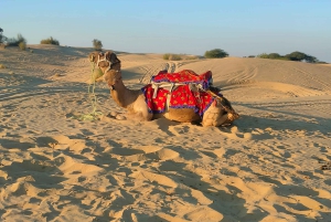 ジャイプール発：プライベート・アジェール・プシュカル・ツアー（タクシー利用）