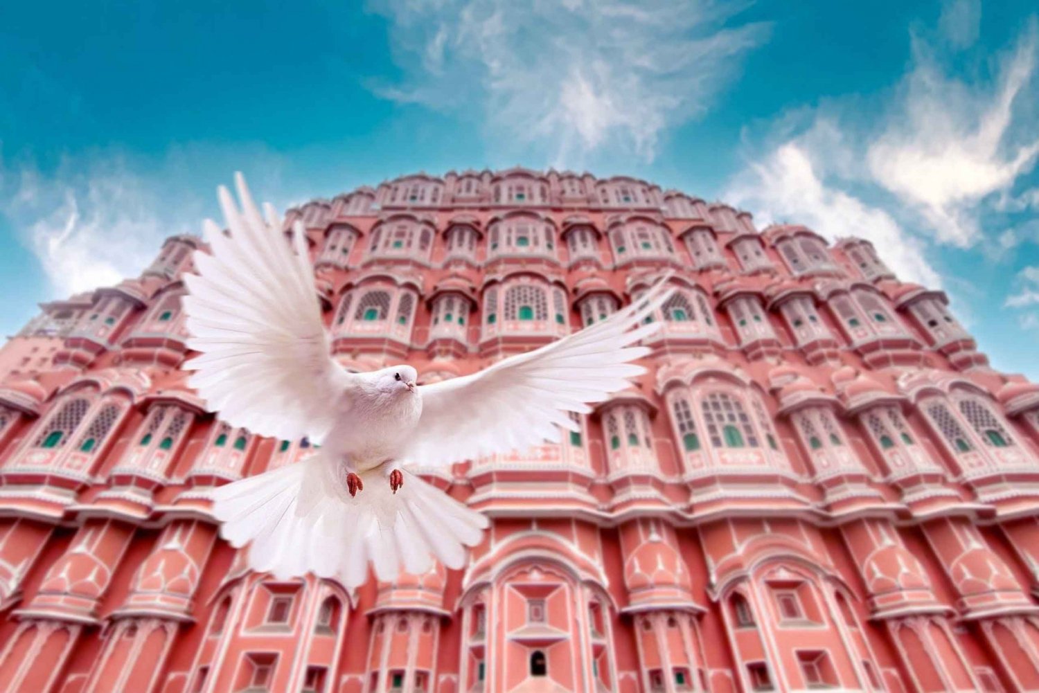 From Jaipur: Private Amber Fort, Jal Mahal and More Car Tour