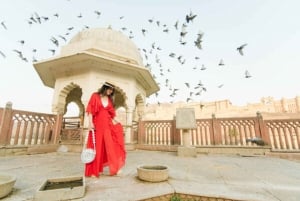 Vanuit Delhi: Privétour langs de hoogtepunten van Jaipur met 5* lunch