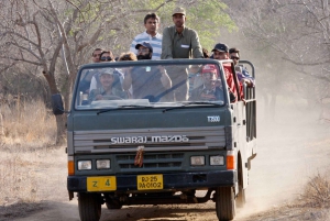 From Jaipur: Private Guided Ranthambore Tour with Cab