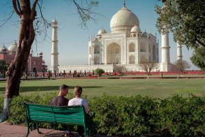 Från Jaipur: Privat guidad dagsutflykt till Taj Mahal och Agra Fort