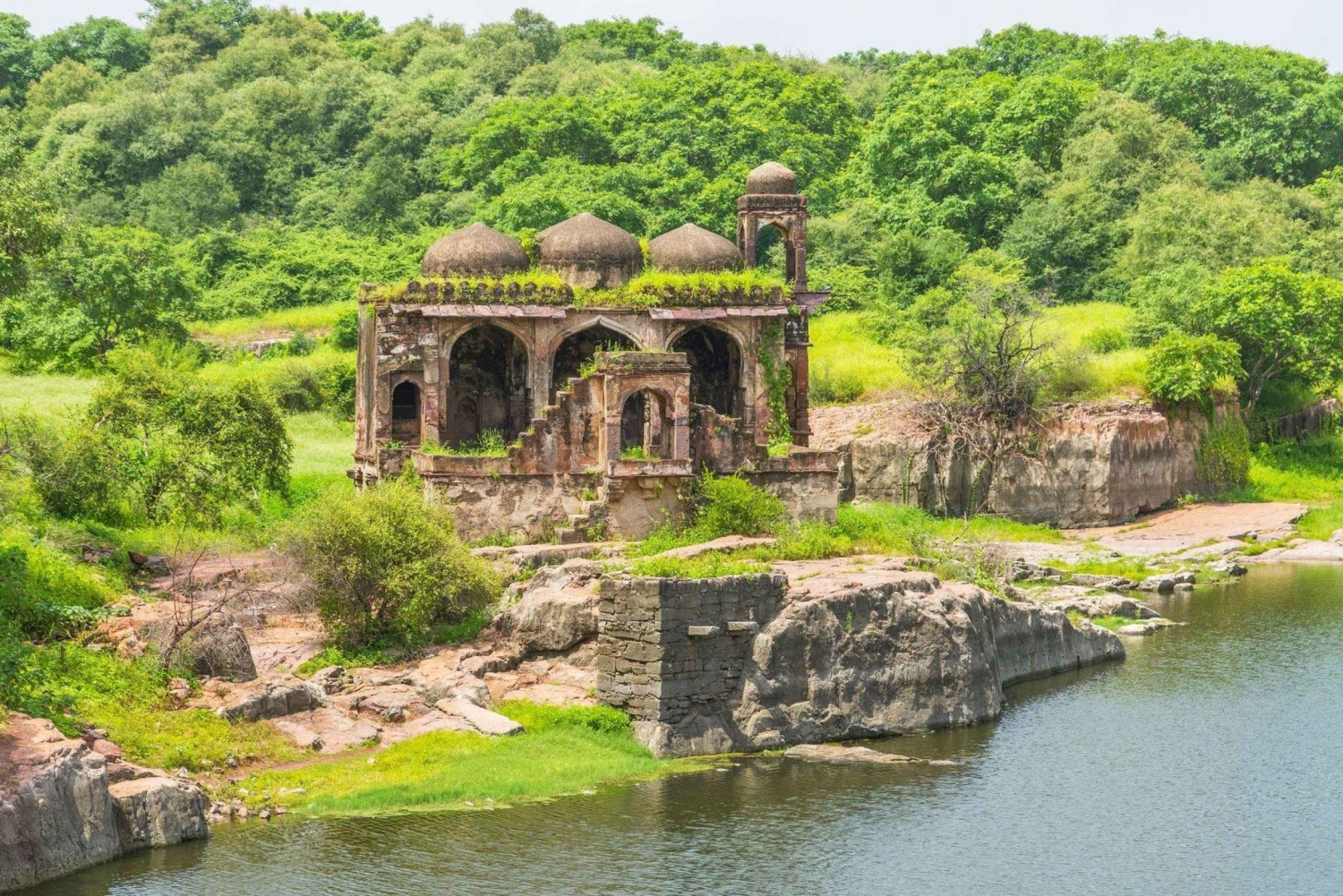 Vanuit Jaipur: Privé dagtrip Ranthambore met tijgersafari