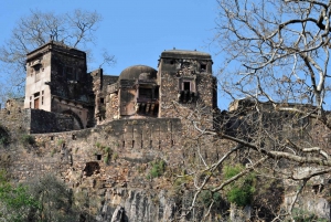 Vanuit Jaipur: Privé dagtrip Ranthambore met tijgersafari